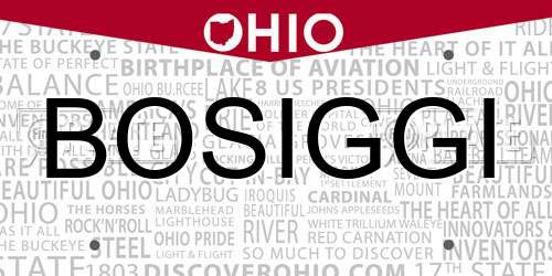 BOSIGGI Ohio License Plate