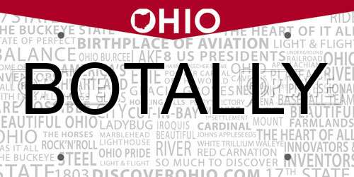BOTALLY Ohio License Plate