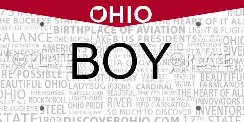 BOY Ohio License Plate