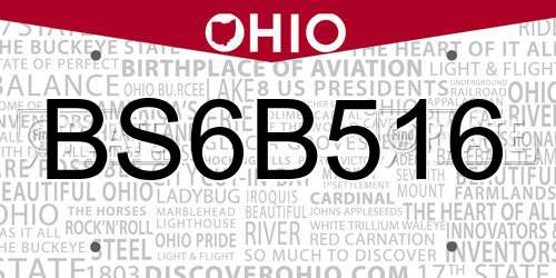 BS6B516 Ohio License Plate