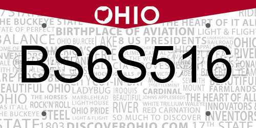 BS6S516 Ohio License Plate
