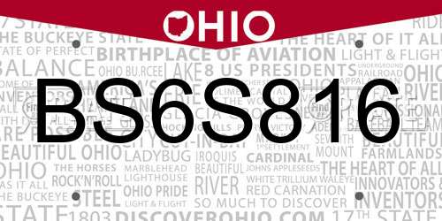 BS6S816 Ohio License Plate