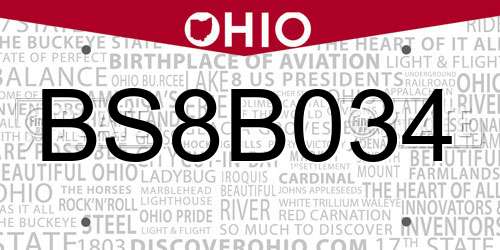BS8B034 Ohio License Plate