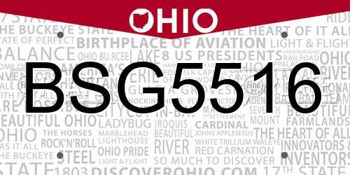 BSG5516 Ohio License Plate