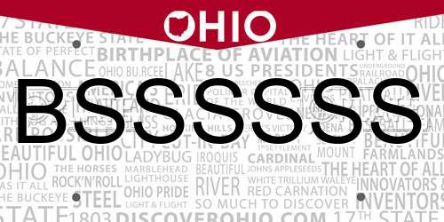 BSSSSSS Ohio License Plate