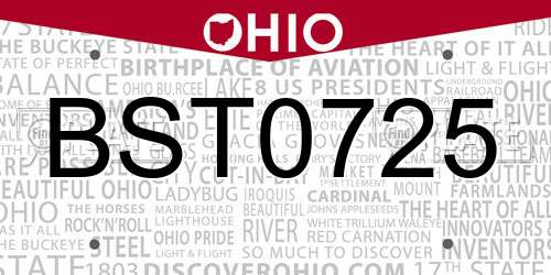 BST0725 Ohio License Plate