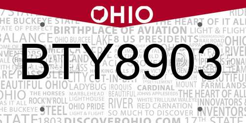 BTY8903 Ohio License Plate