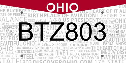 BTZ803 Ohio License Plate