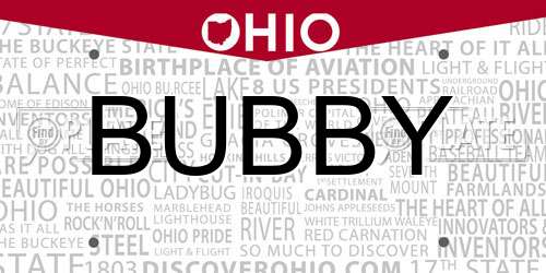 BUBBY Ohio License Plate
