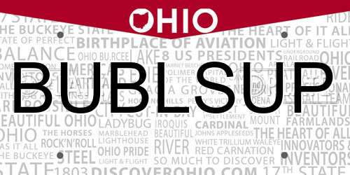 BUBLSUP Ohio License Plate
