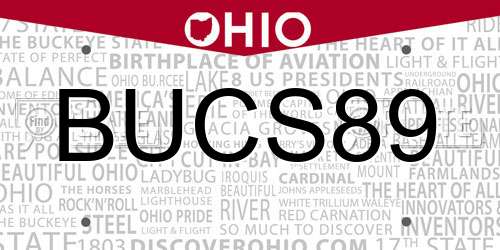 BUCS89 Ohio License Plate
