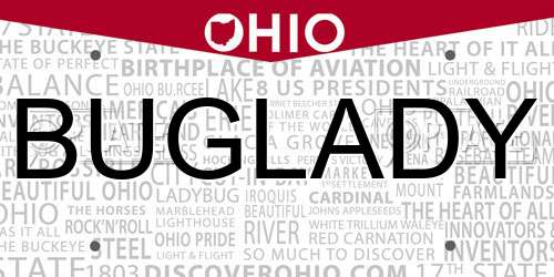 BUGLADY Ohio License Plate