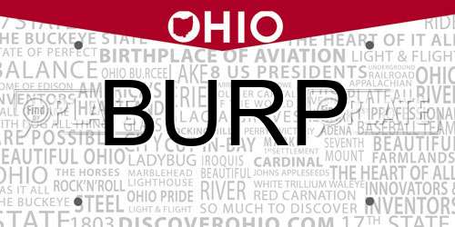 BURP Ohio License Plate
