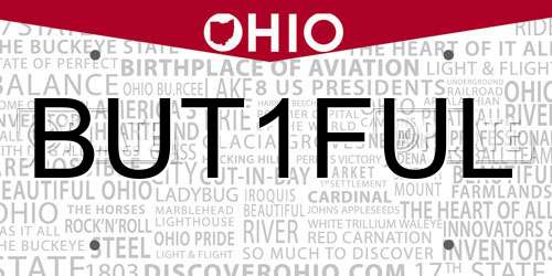 BUT1FUL Ohio License Plate