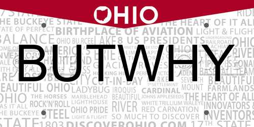 BUTWHY Ohio License Plate