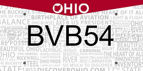 BVB54 Ohio License Plate