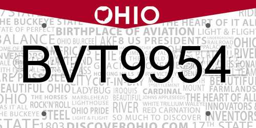 BVT9954 Ohio License Plate