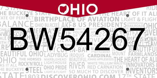 BW54267 Ohio License Plate