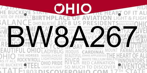 BW8A267 Ohio License Plate