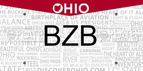 BZB Ohio License Plate