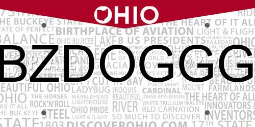 BZDOGGG Ohio License Plate