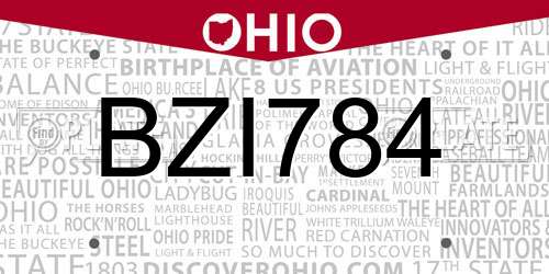 BZI784 Ohio License Plate