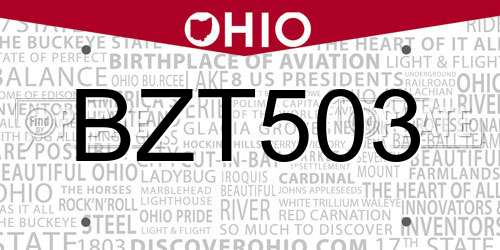 BZT503 Ohio License Plate