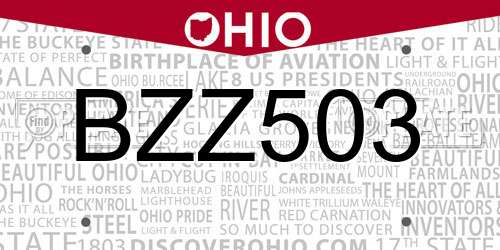 BZZ503 Ohio License Plate