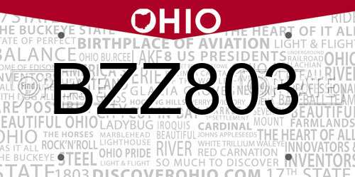 BZZ803 Ohio License Plate