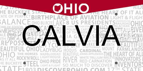 CALVIA Ohio License Plate