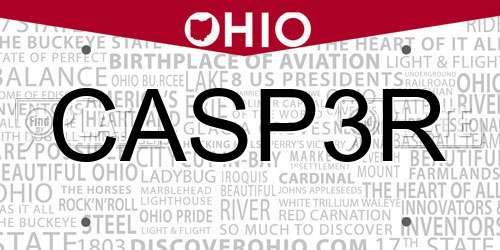 CASP3R Ohio License Plate