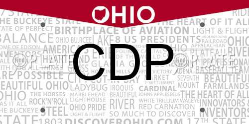 CDP Ohio License Plate