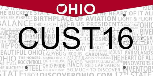 CUST16 Ohio License Plate