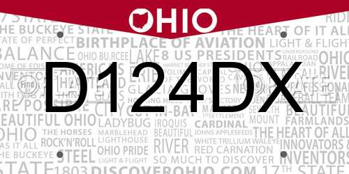 D124DX Ohio License Plate
