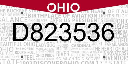 D823536 Ohio License Plate
