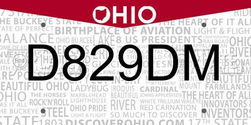 D829DM Ohio License Plate