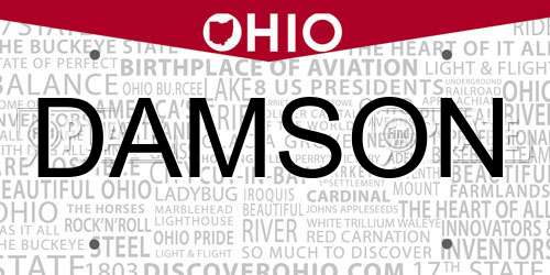 DAMSON Ohio License Plate