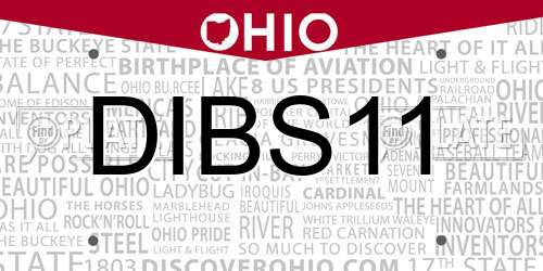 DIBS11 Ohio License Plate