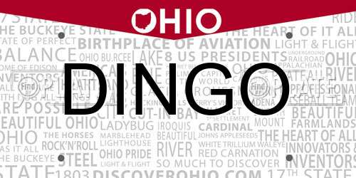 DINGO Ohio License Plate