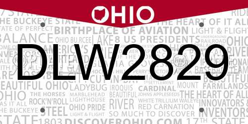 DLW2829 Ohio License Plate