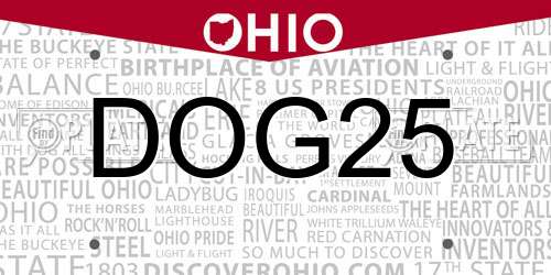 DOG25 Ohio License Plate