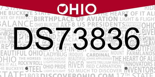 DS73836 Ohio License Plate