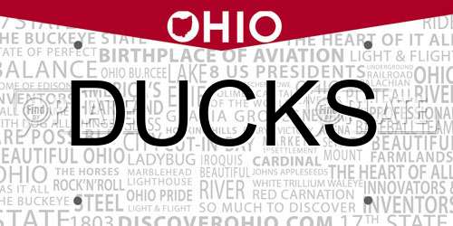 DUCKS Ohio License Plate