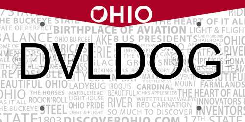 DVLDOG Ohio License Plate
