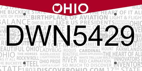 DWN5429 Ohio License Plate