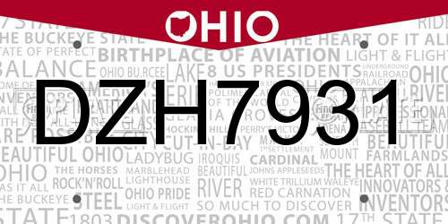 DZH7931 Ohio License Plate