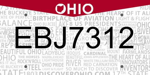 EBJ7312 Ohio License Plate