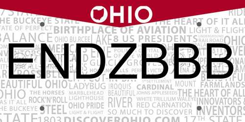 ENDZBBB Ohio License Plate