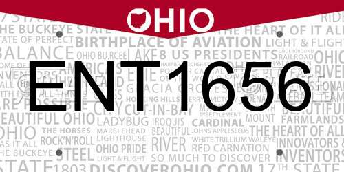 ENT1656 Ohio License Plate