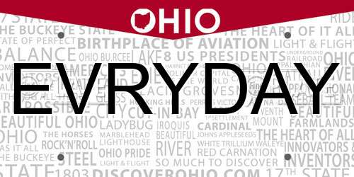 EVRYDAY Ohio License Plate